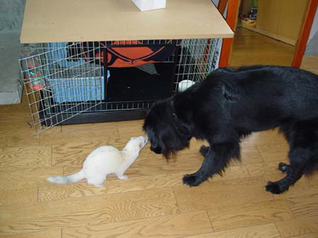 dsc00704.jpg