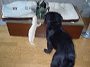 dsc00697