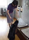 dsc00698
