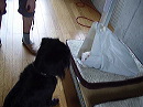 dsc00699