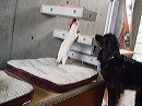 dsc00703