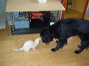 dsc00704