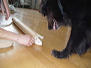 dsc00709
