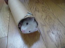 dsc00715