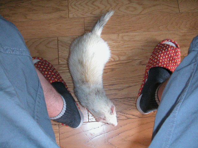 20020718-080009-